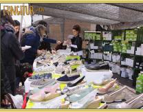 IX Feria Intercultural
