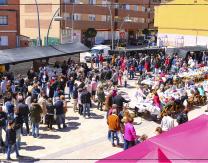 XII Feria Intercultural