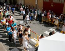 Degustación XXVIII Festival Gastronómico del Champìñón, la Seta y el Pimiento